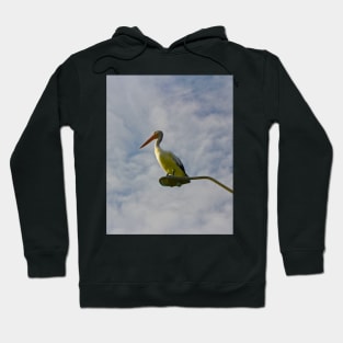 Pelican on a Light! Hoodie